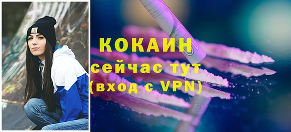 spice Няндома