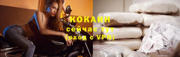 spice Няндома