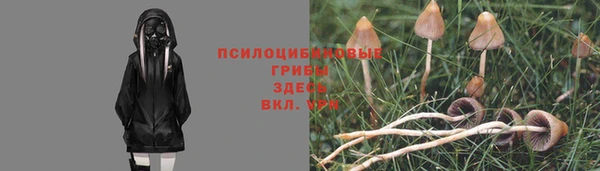 a pvp Алзамай