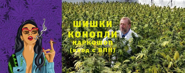 spice Няндома