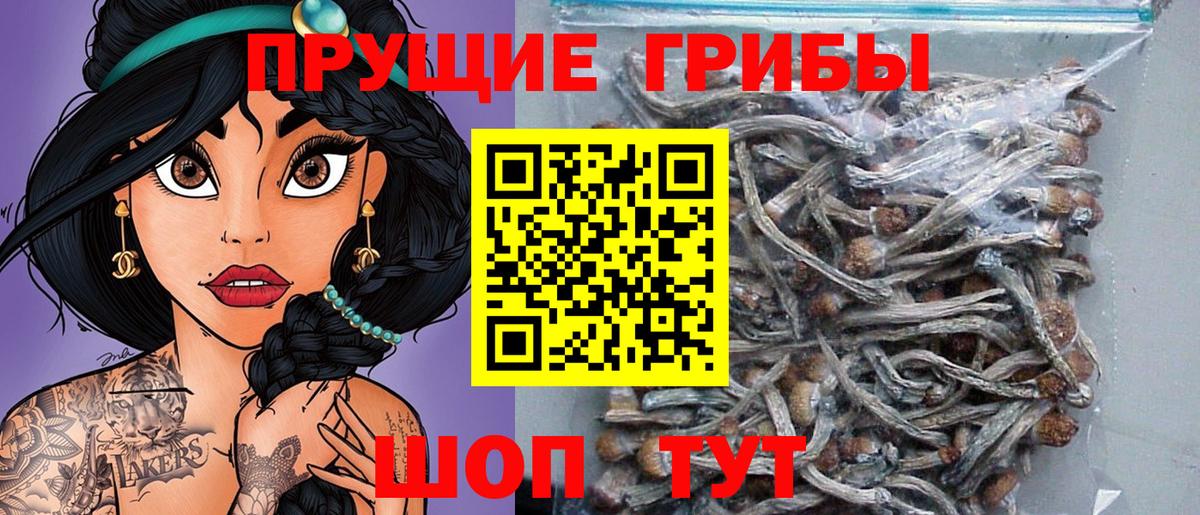 Березники  закладка  Галлюциногенные грибы Psilocybe  Вход с VPN  Галлюциногенные грибы GOLDEN TEACHER 