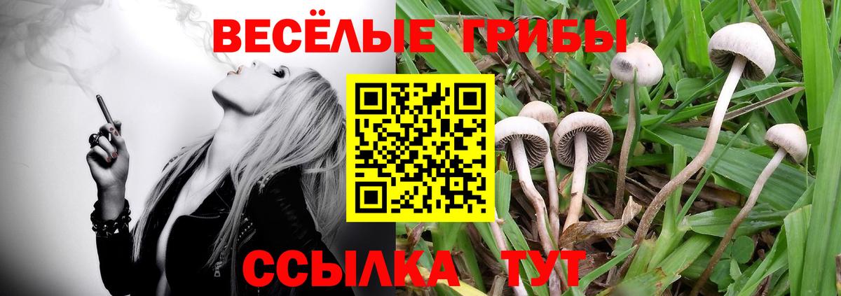 А ПВП Березники